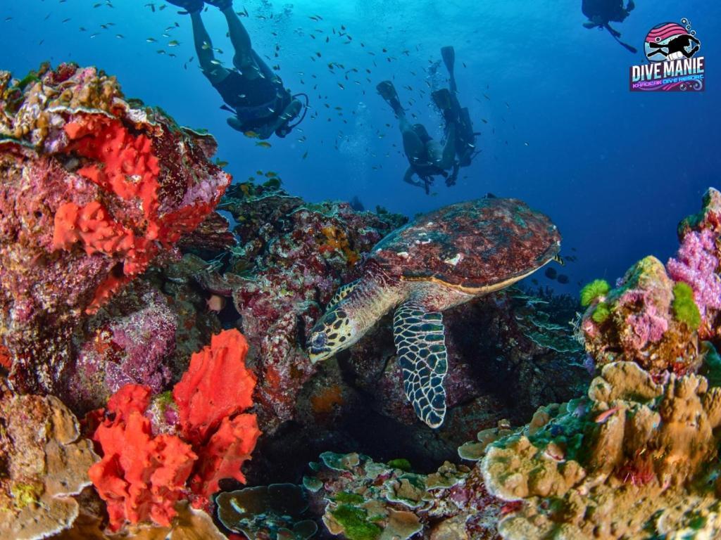 Khaolak Dive Resort Khao Lak Ngoại thất bức ảnh