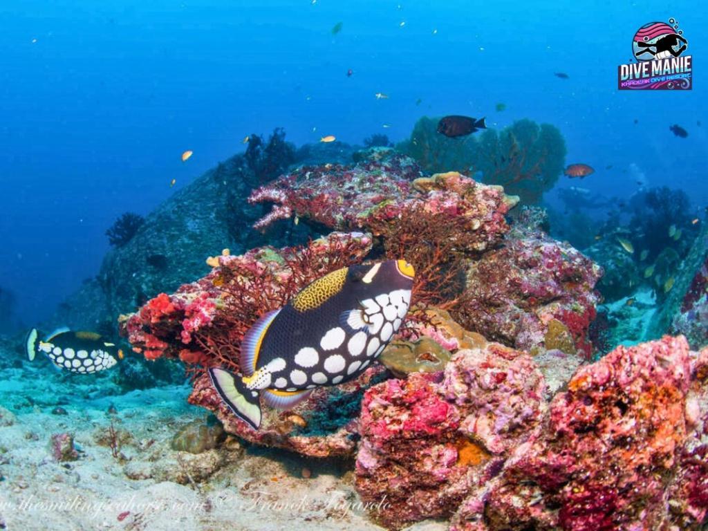 Khaolak Dive Resort Khao Lak Ngoại thất bức ảnh