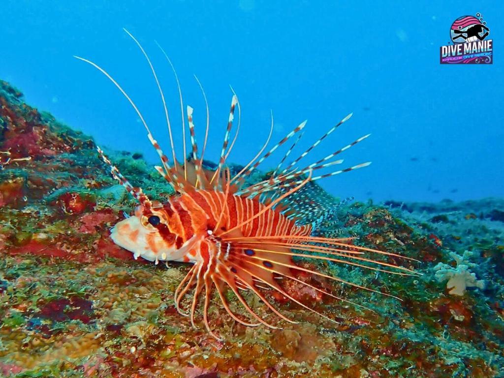 Khaolak Dive Resort Khao Lak Ngoại thất bức ảnh