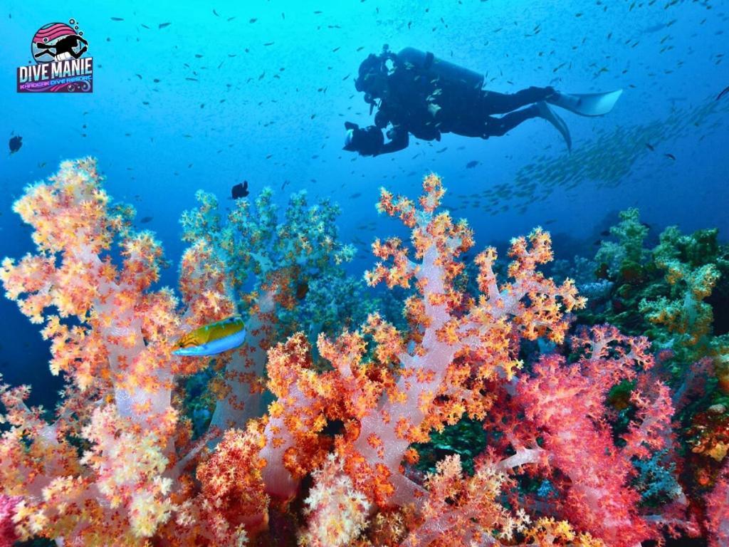 Khaolak Dive Resort Khao Lak Ngoại thất bức ảnh