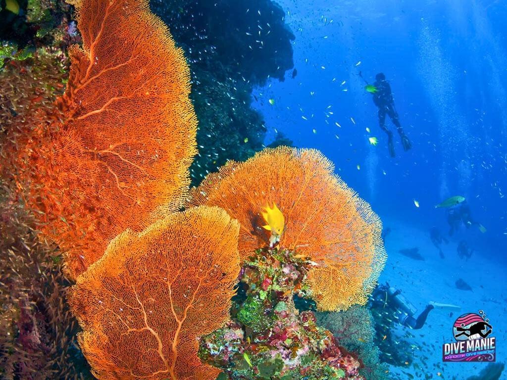 Khaolak Dive Resort Khao Lak Ngoại thất bức ảnh