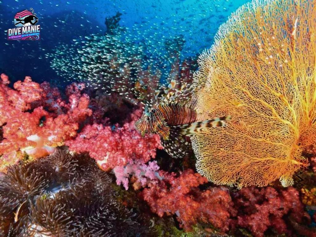 Khaolak Dive Resort Khao Lak Ngoại thất bức ảnh
